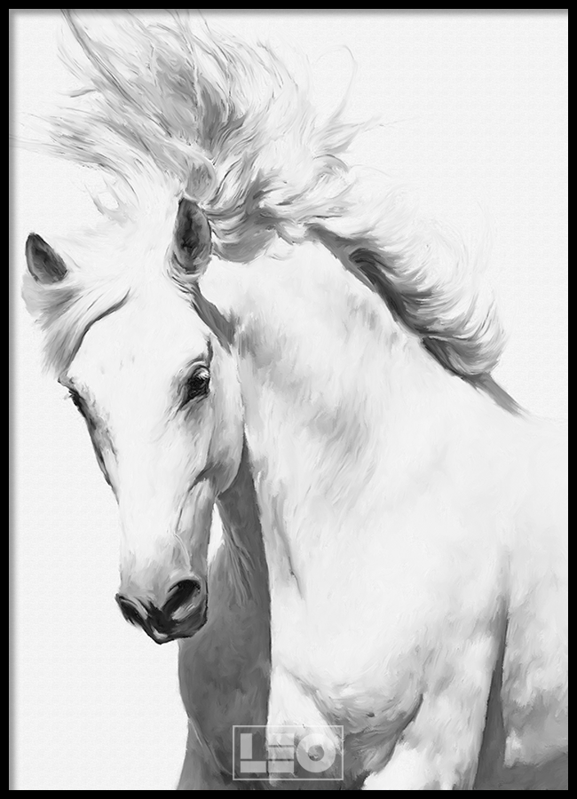 TRANH LẺ CANVAS WHITE HORSE
